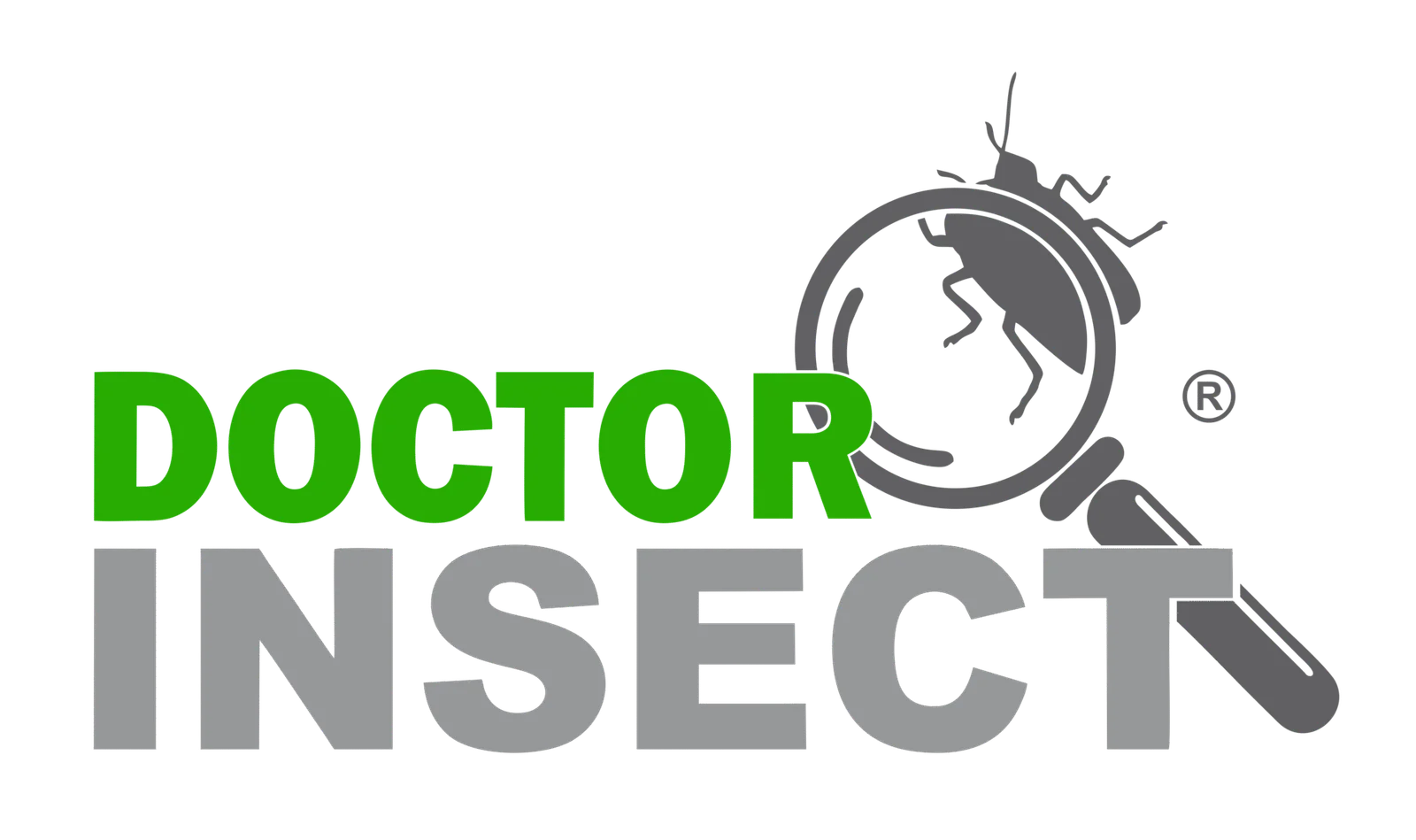 Doctor Insect – Dedetizadora 24h em São Paulo
